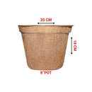 Ecomilagro Organic Coco Pot