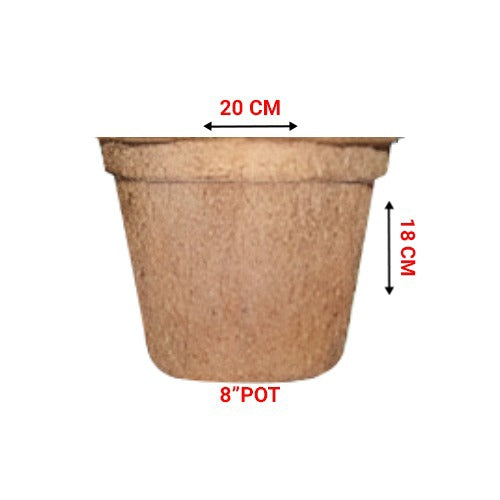 Ecomilagro Organic Coco Pot