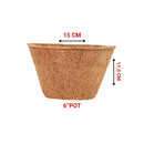 Ecomilagro Organic Coco Pot