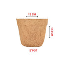 Ecomilagro Organic Coco Pot