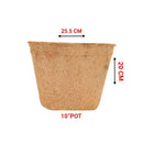 Ecomilagro Organic Coco Pot