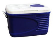 Prince Eco Ice Box 60L 3410 | Home Organization