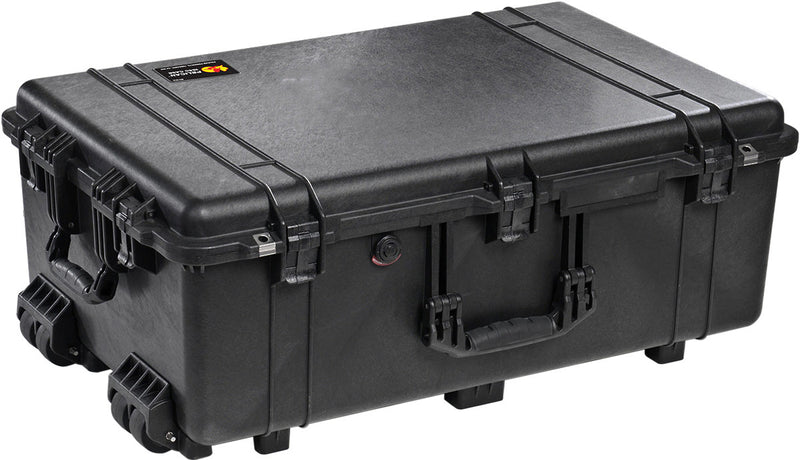 Pelican Protector Case 1650-020-110