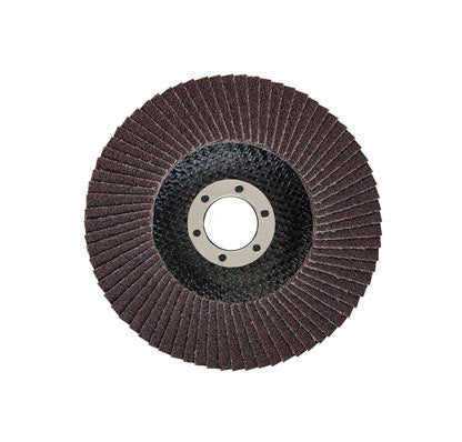 Bosch Flap Disc Standard for Metal 100 MM 80g