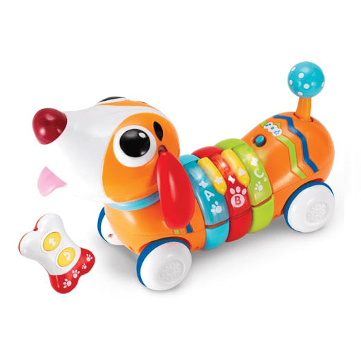 Remote Control Rainbow Pup | Infant Toys Remote Control Rainbow Pup | Infant Toys