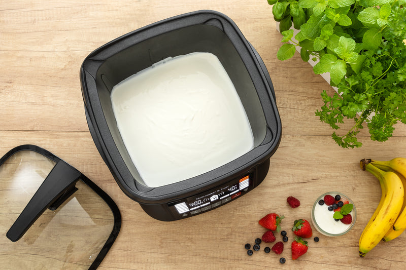 Sencor Multifunction Fryer SFR 9300BK