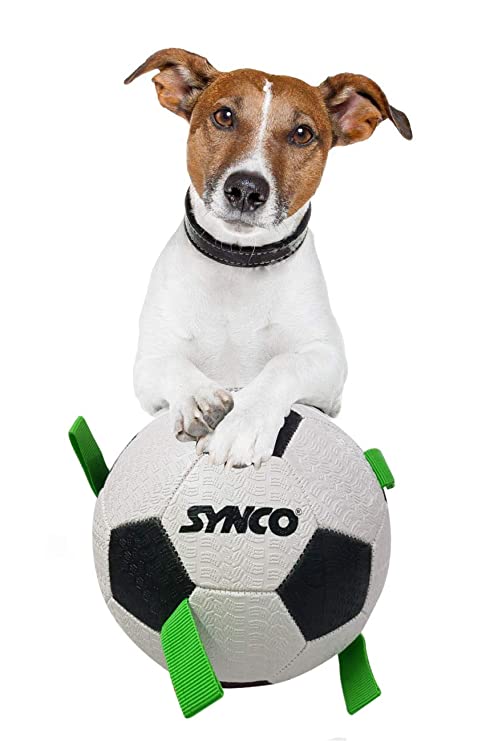 Syndicate Foot Ball Pet Ball Big 11601269