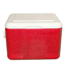 Prince Glacier Ice Box 22L 3422