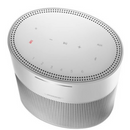 Bose Home Speaker 300 Luxe Silver 808429-4300
