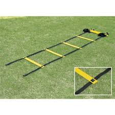 Teloon Fitness Ladder 800 cm | Fitness Teloon Fitness Ladder 800 cm | Fitness