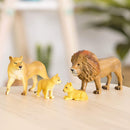 Lion Family