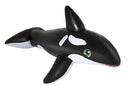 Bestway 80" x 40"/2.03m x 1.02m Jumbo Whale Rider BES115TOY00245