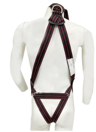 Forte Double Hook Harness with certificate