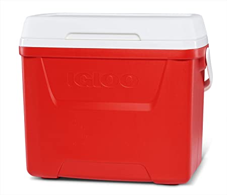 Igloo Laguna 28qt/26 L Red Regular