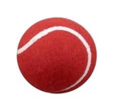 Syndicate Cricket Tennis Ball Red