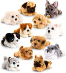 Keel Toys 25cm Signature Cuddle Puppy 12 Asstd