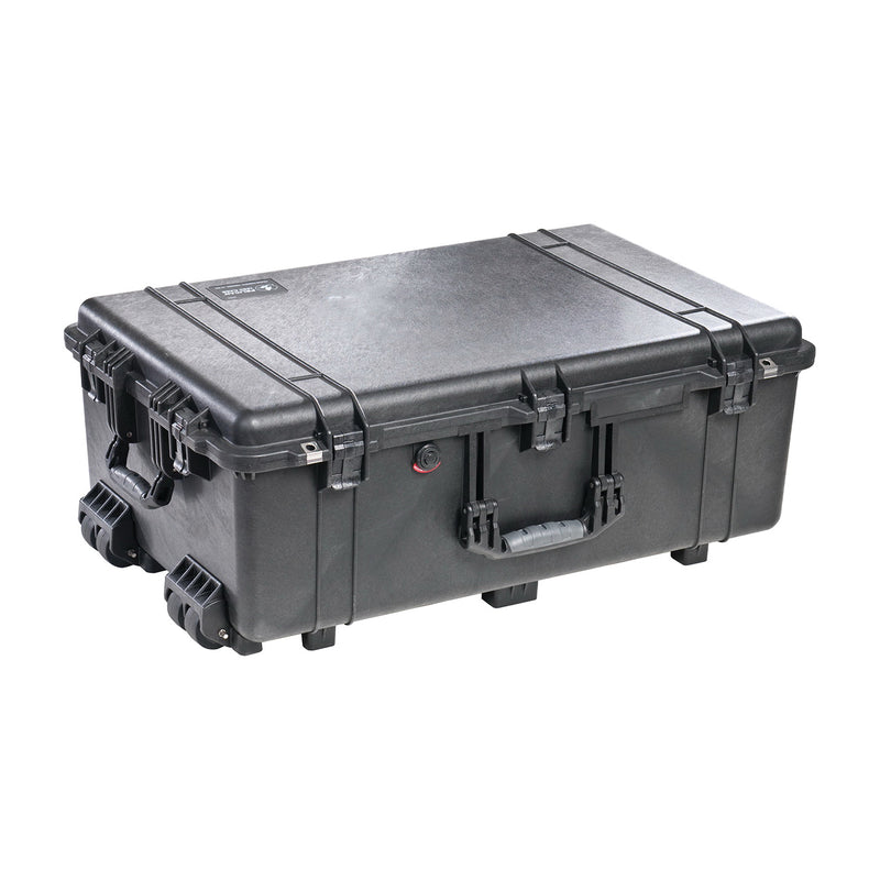 Pelican Protector Case With Foam 1650-020-110