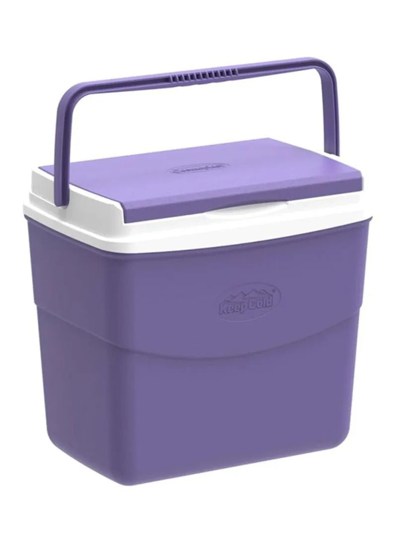 Abelplast Ice Box Picnic | Camping Abelplast Ice Box Picnic | Camping
