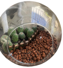 Terrarium Decor-Barrel Cactus