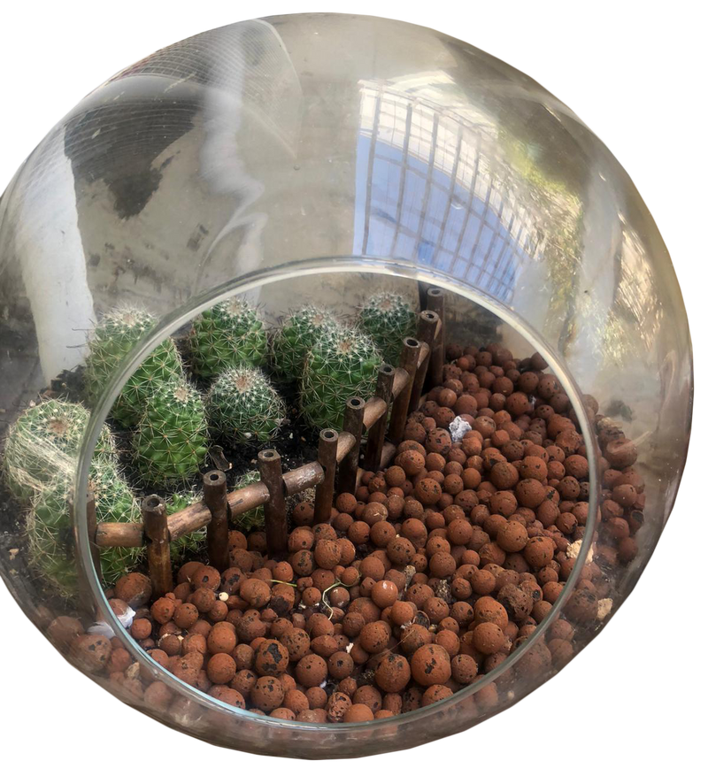 Terrarium Decor-Barrel Cactus
