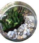 Terrarium Decor-Desert Candle Cactus