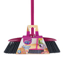 Parex Indoor Broom with Handle Regular