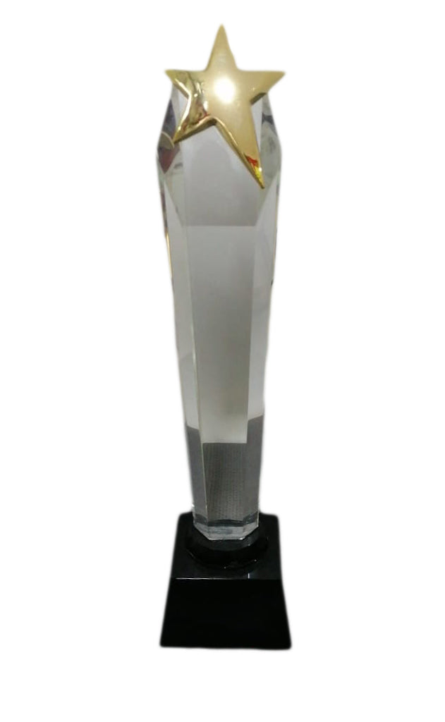 Metal Star with Crystal Award Type Trophy
